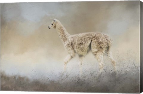 Framed Seeking Print