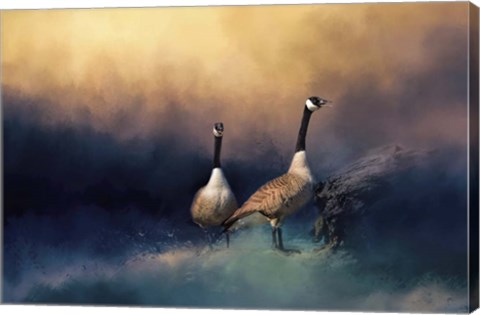 Framed Stranded Print