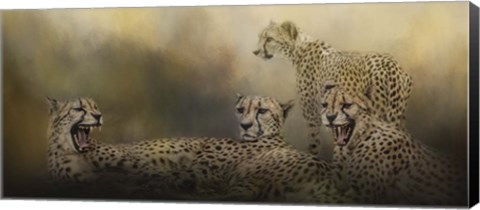 Framed Coalition Print