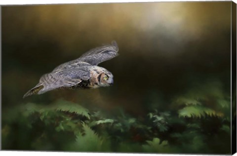 Framed Night With The Great Horned Owl 1 Print