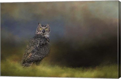 Framed Night With The Great Horned Owl 4 Print