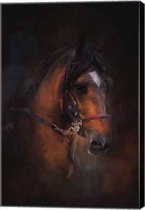 Framed At The Horse Show 1 Print