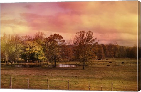 Framed Autumn At The Cattle Farm Print