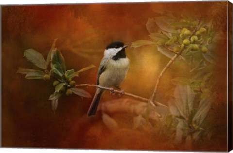Framed Autumn Day Chickadee Print