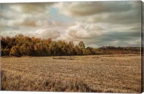 Framed Autumn In The Country Print