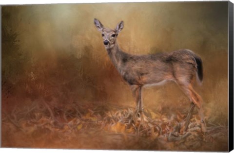 Framed Autumn Journey Print