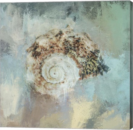 Framed Beach Treasure 1 Print