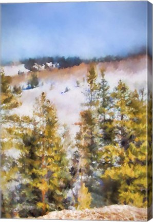 Framed Colorado Color Splash 1 Print