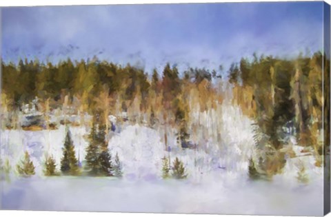 Framed Colorado Color Splash 2 Print