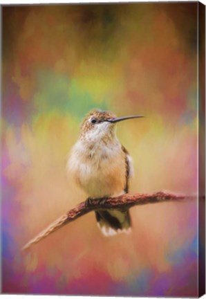 Framed Colorful Personality Print