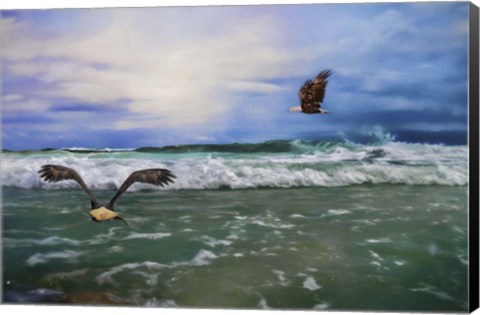 Framed Eagles At Sea Print