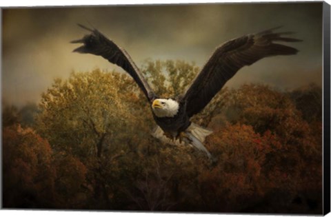 Framed Fall Fishing Print