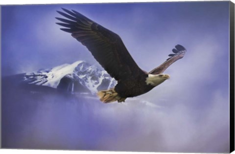 Framed Fishing In Winter Print