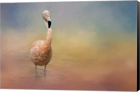 Framed Flamingo Friday Print