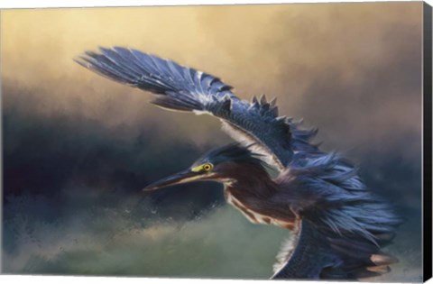 Framed Flight Of The Green Heron 2 Print