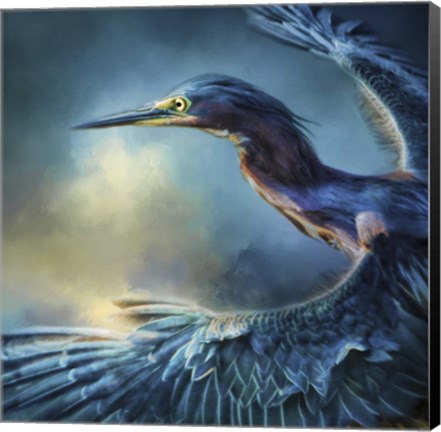 Framed Flight Of The Green Heron Print