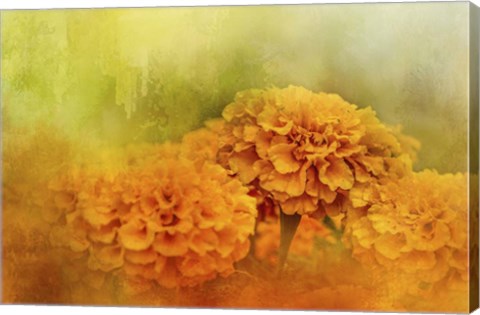 Framed Fresh Autumn Flowers Print