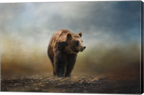 Framed Grizzly On The Rocks Print