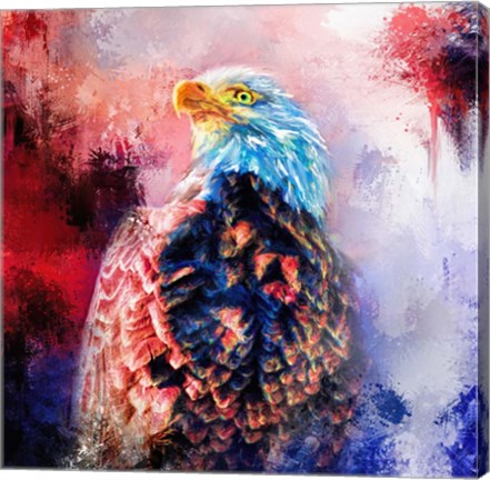 Framed Jazzy Bald Eagle Print