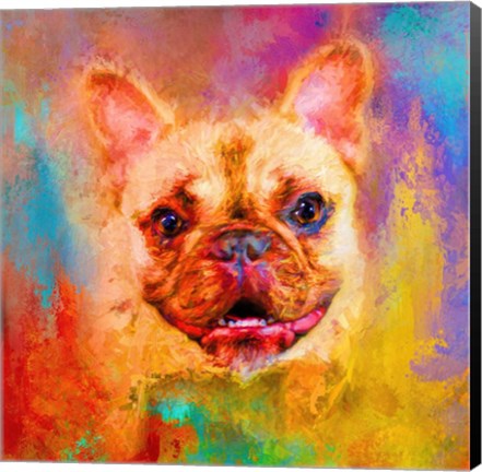 Framed Jazzy French Bulldog Print