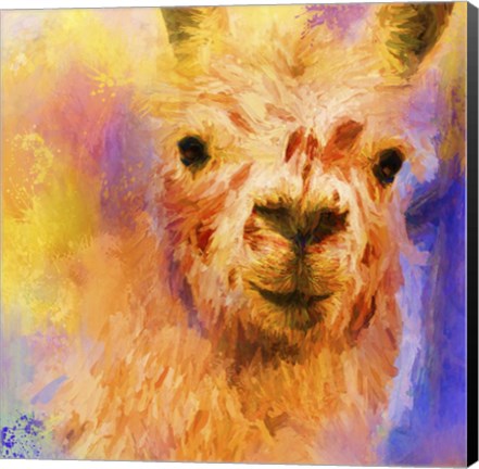 Framed Jazzy Llama Print