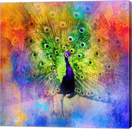 Framed Jazzy Peacock Print