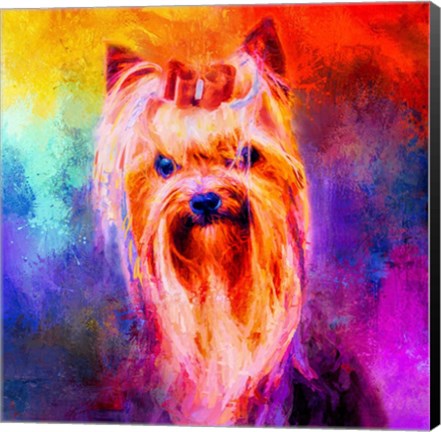 Framed Jazzy Yorkshire Terrier Print