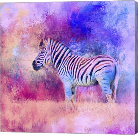 Framed Jazzy Zebra Pink And Purple Print