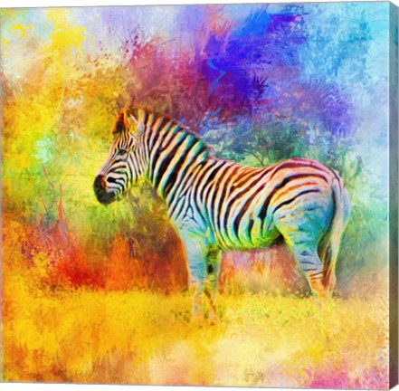 Framed Jazzy Zebra Print
