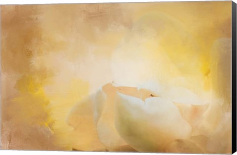 Framed Late Magnolia 1 Print