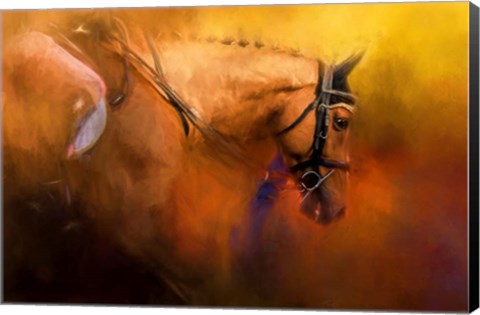 Framed Leaving The Show Ring Print