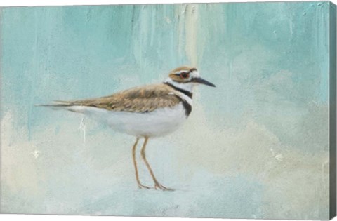 Framed Little Seaside Friend Print