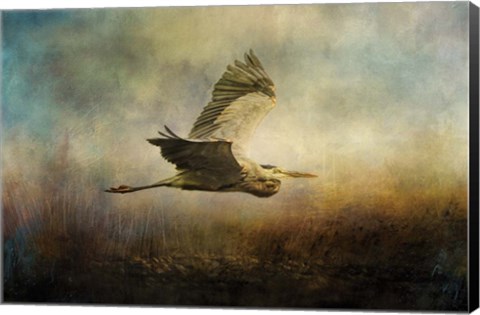 Framed Low Flyer Print