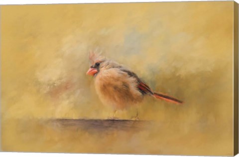 Framed Morning Blessing Print