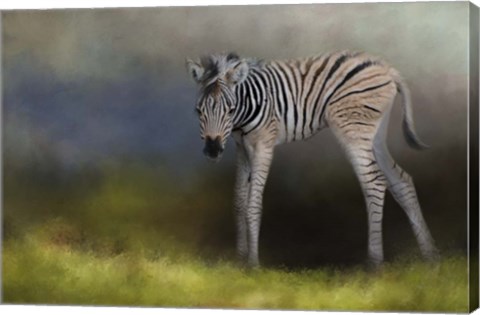 Framed New Life 2 Print