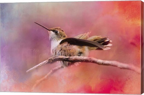 Framed Pretty In Pink Print