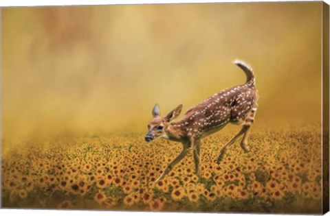Framed Romping In The Sunflower Field Print