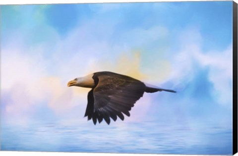 Framed Sea Coasting Print