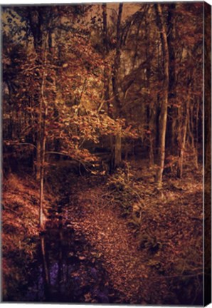 Framed Shiloh Creek 1 Print