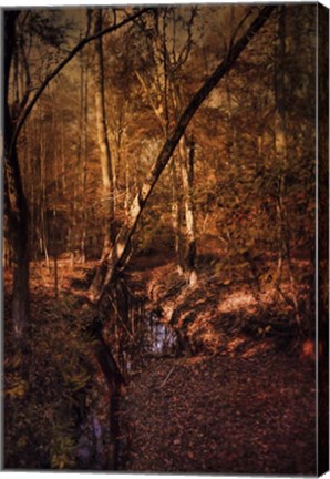 Framed Shiloh Creek 2 Print