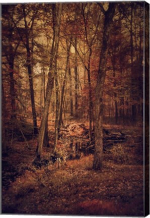 Framed Shiloh Creek 3 Print