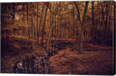 Framed Shiloh Creek 4 Print