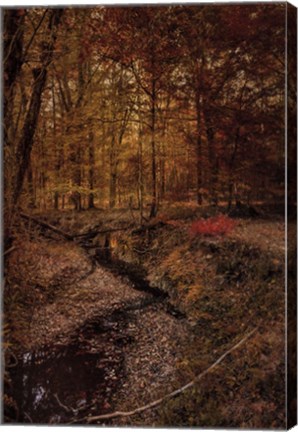 Framed Shiloh Creek 5 Print