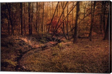 Framed Shiloh Creek 6 Print