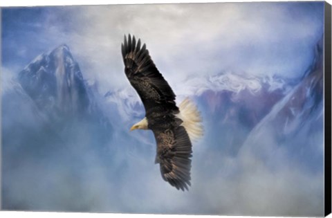 Framed Soaring Print