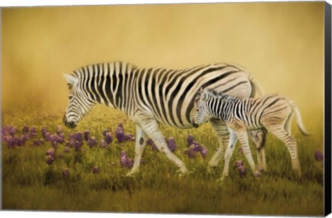 Framed Through The Meadow Print