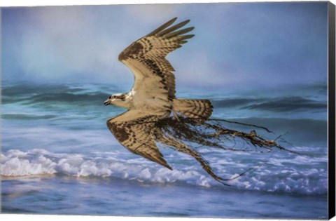 Framed Treasures For The Nest Print