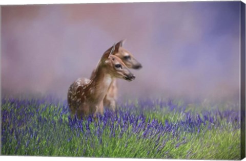 Framed Twin Fawns In The Lavender Print