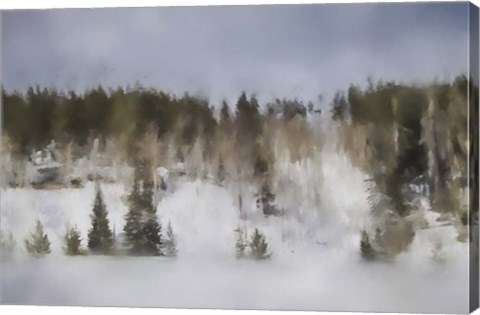 Framed Winter Impressions In Colorado 8 Print