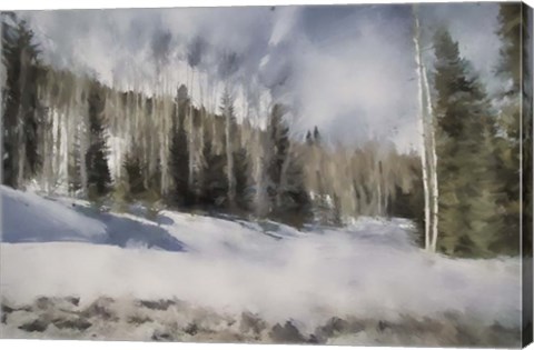 Framed Winter Impressions In Colorado 9 Print